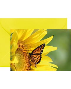 10x Mini- Grußkarte Sonnenblume, Umschlagfarbe Gelb