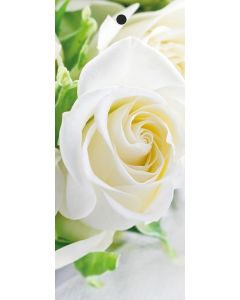 Geschenkanhänger weiße Rose