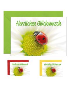 10x Grußkarte - weiße Blume mit Käfer, verschiedene Umschlagfarben