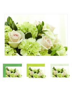 10x Mini-Grußkarte grüne Nelken, verschiedene Umschlagfarben