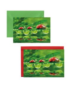 10x Mini- Grußkarte Käfer mit Schirm, verschiedene Umschlagfarben