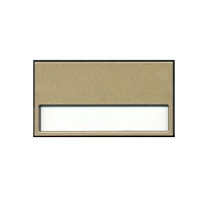 Namensschild 70x40mm gold unbedruckt mit Nadel oder Magnet