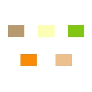 Laminierte Preisschilder DIN A7 farbig