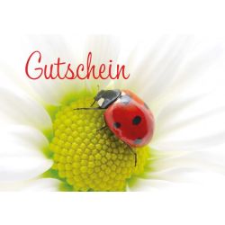 Gutscheinkarte Käfer auf Blume