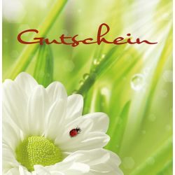 Gutschein-Klappkarte "weiße Blume mit Käfer"