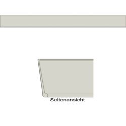 Scannerschiene Etikettenhalter transparent 1m lang
