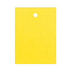 Kartonetiketten 35x45mm einzeln geschnitten Gelb
