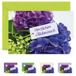 10x Mini- Grußkarte Hortensie, verschiedene Umschlagfarben