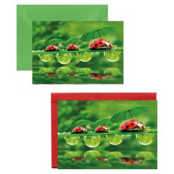 10x Mini- Grußkarte Käfer mit Schirm, verschiedene Umschlagfarben